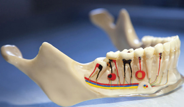 Conservative Dentistry & Endodontics Department